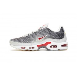 Män Air Max Plus Tn Grå and Vit Skor