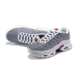 Män Air Max Plus Tn Grå and Vit Skor