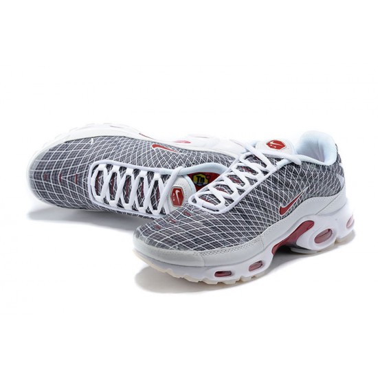 Män Air Max Plus Tn Grå and Vit Skor